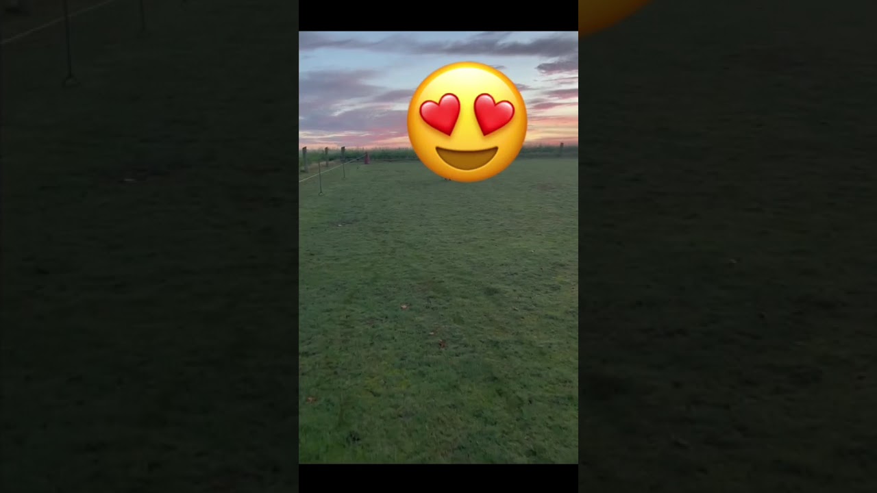Mia‘s Welt - Sonnenuntergang-Edition