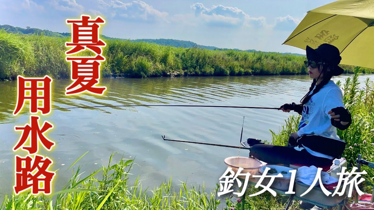 釣女1人で真夏の用水路でへらぶな釣りに挑戦！【新木水路】