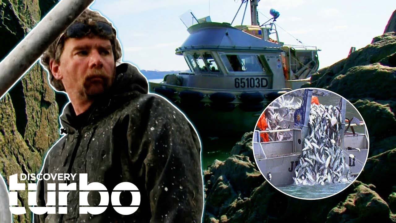 Veteran Fisherman Jeff Songstad Reels In 4 Tons Of Herring Fish In A Day | Bristol Bay Brawl