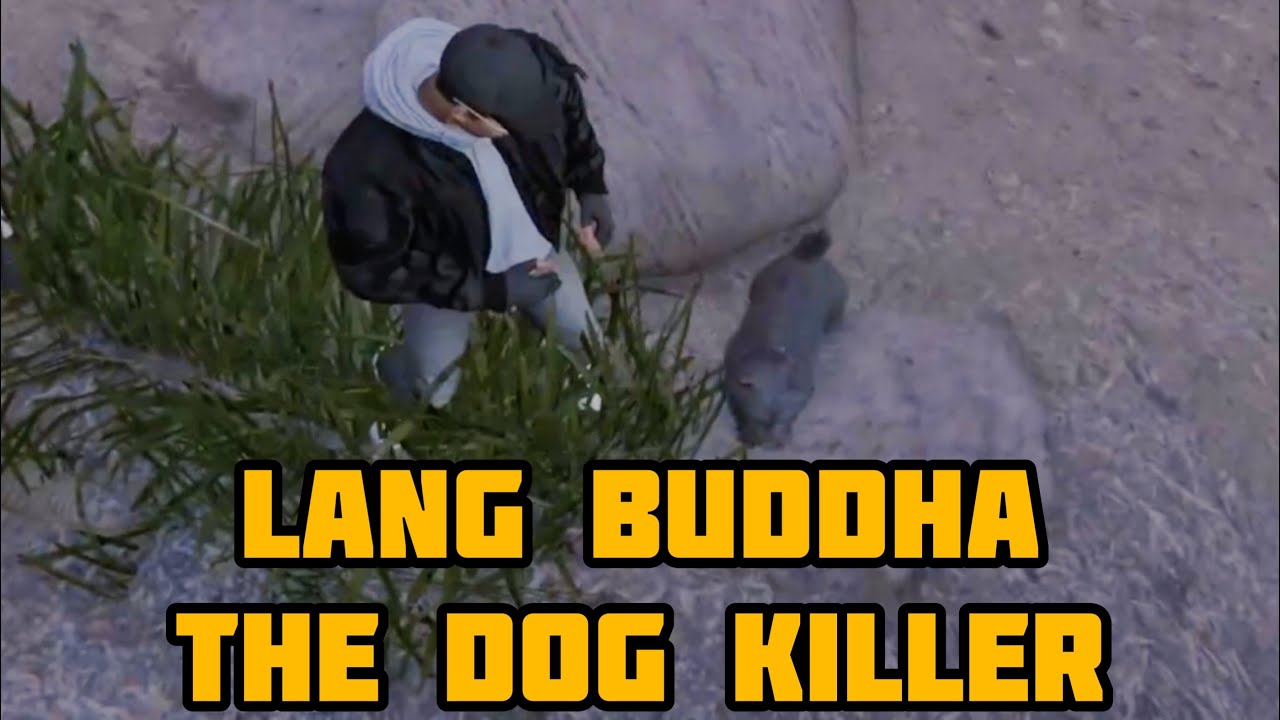 Buddha Puts Down Cyd’s Dog | NoPixel Edit