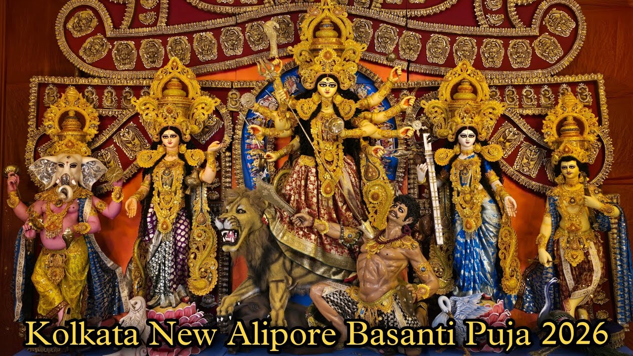 Basanti Puja 2026 | New Alipore Hajra Family Basanti Puja | Kolkata Basanti Puja 2026