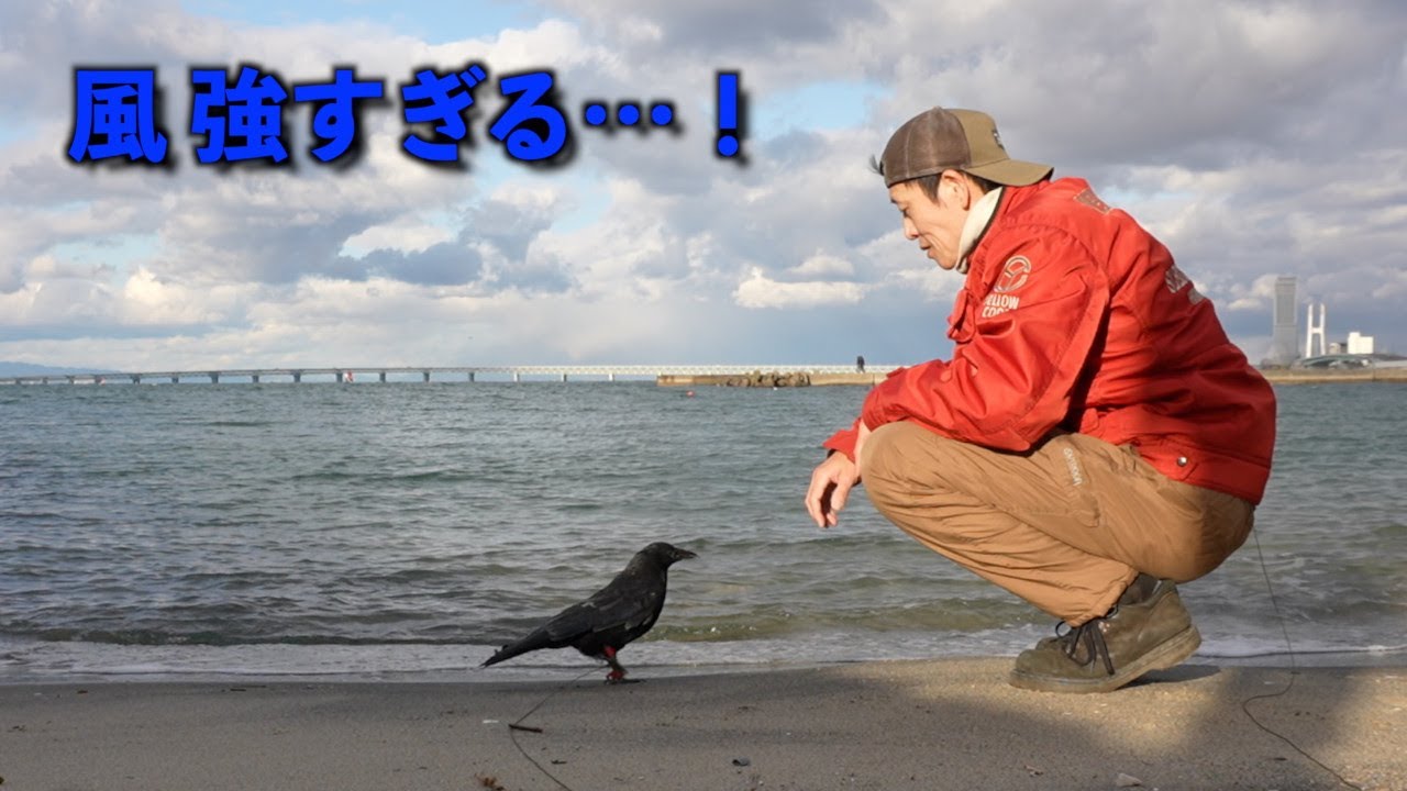 [極寒Vlog]強風のロングパークをカラスと家族でお散歩🤎