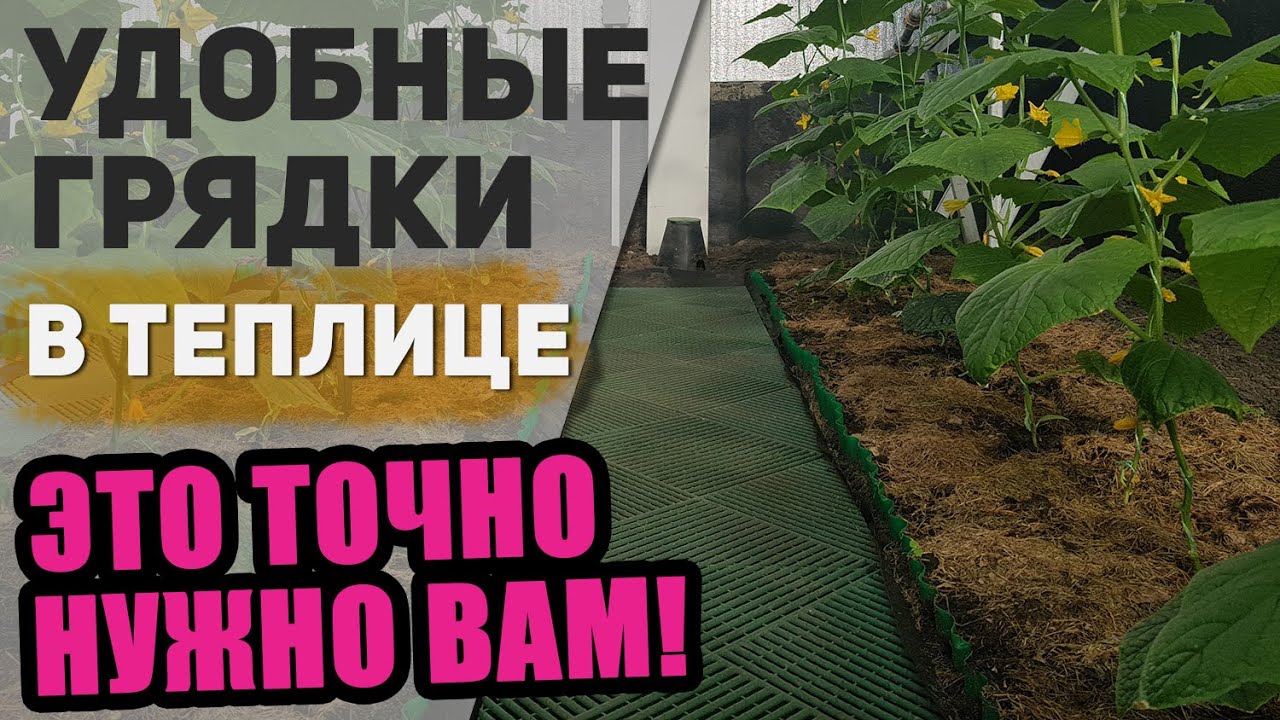 В теплице : как сделать грядки и дорожки/ Из чего? какие размеры?/что бы удобно и большой урожай!