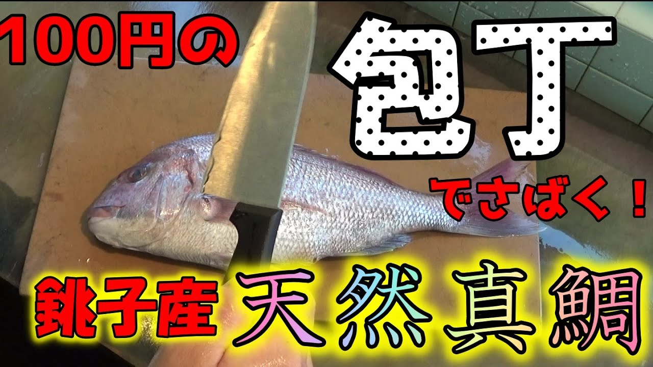 ダイソーの本気！【天然真鯛】100円包丁で刺身造れるの！？日本一の港町でFish cutting！　Seabream cutting to Sashimi!