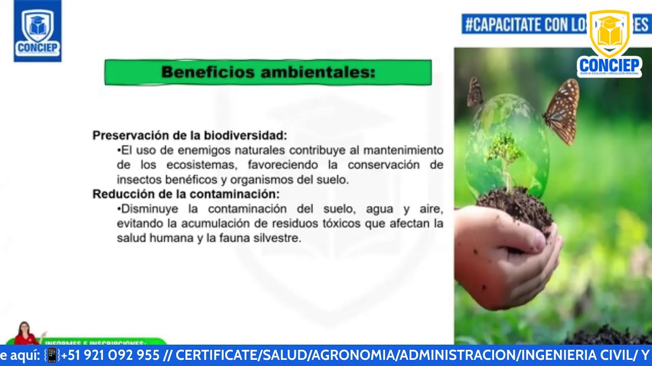 📚𝗖𝗨𝗥𝗦𝗢:CONTROL BIOLÓGICO DE PLAGAS EN CULTIVOS DE CAFÉ, CACAO, PLÁTANO, CITRICOS Y PIÑA📚
