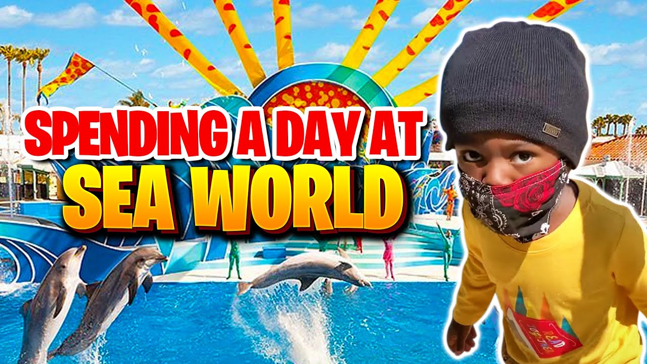 Family Day At Sea World: Fun Kids Activities | Family Fun Time Vlog