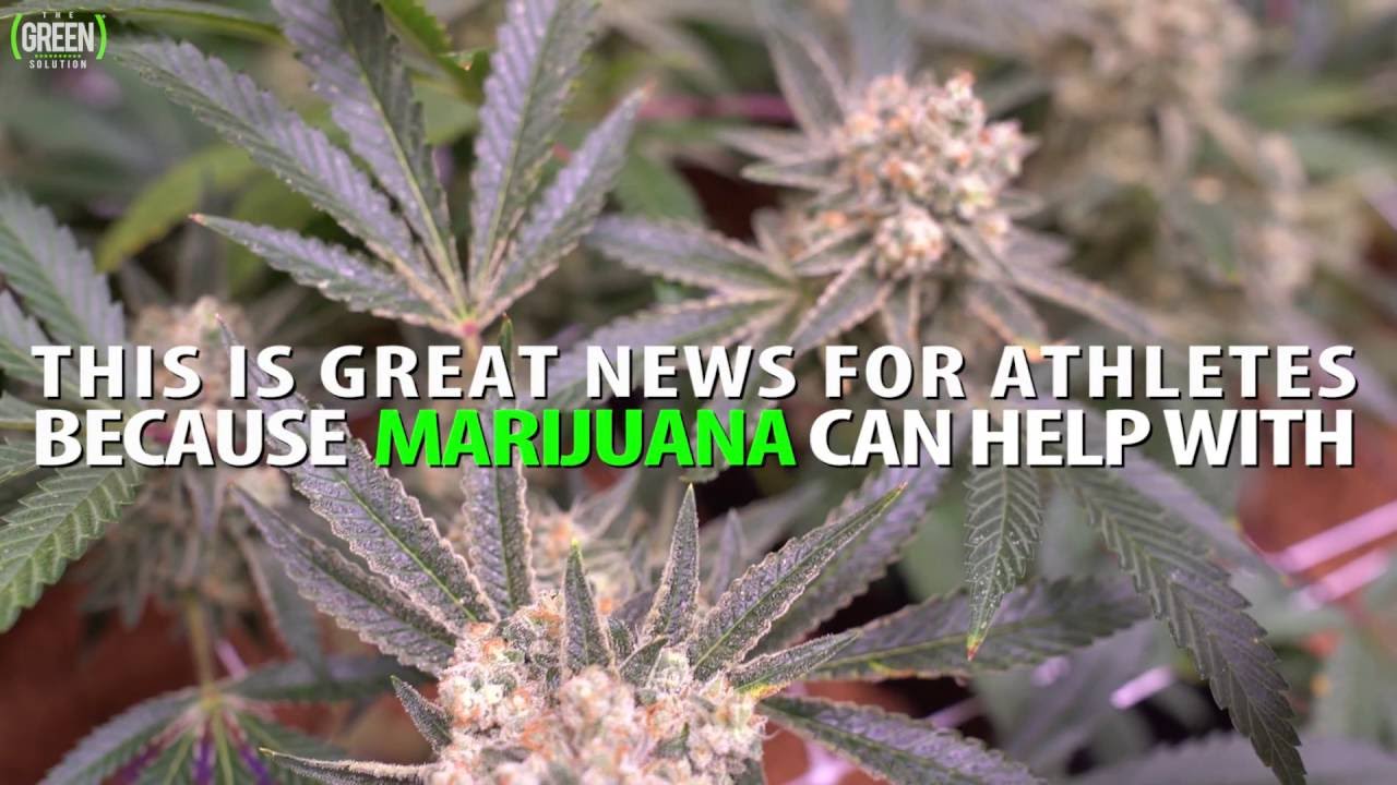 Olympic Athletes Can Now Smoke Weed