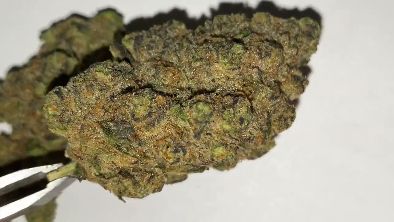 Pedanios 27/1 FRG-CA (Farm Gas)