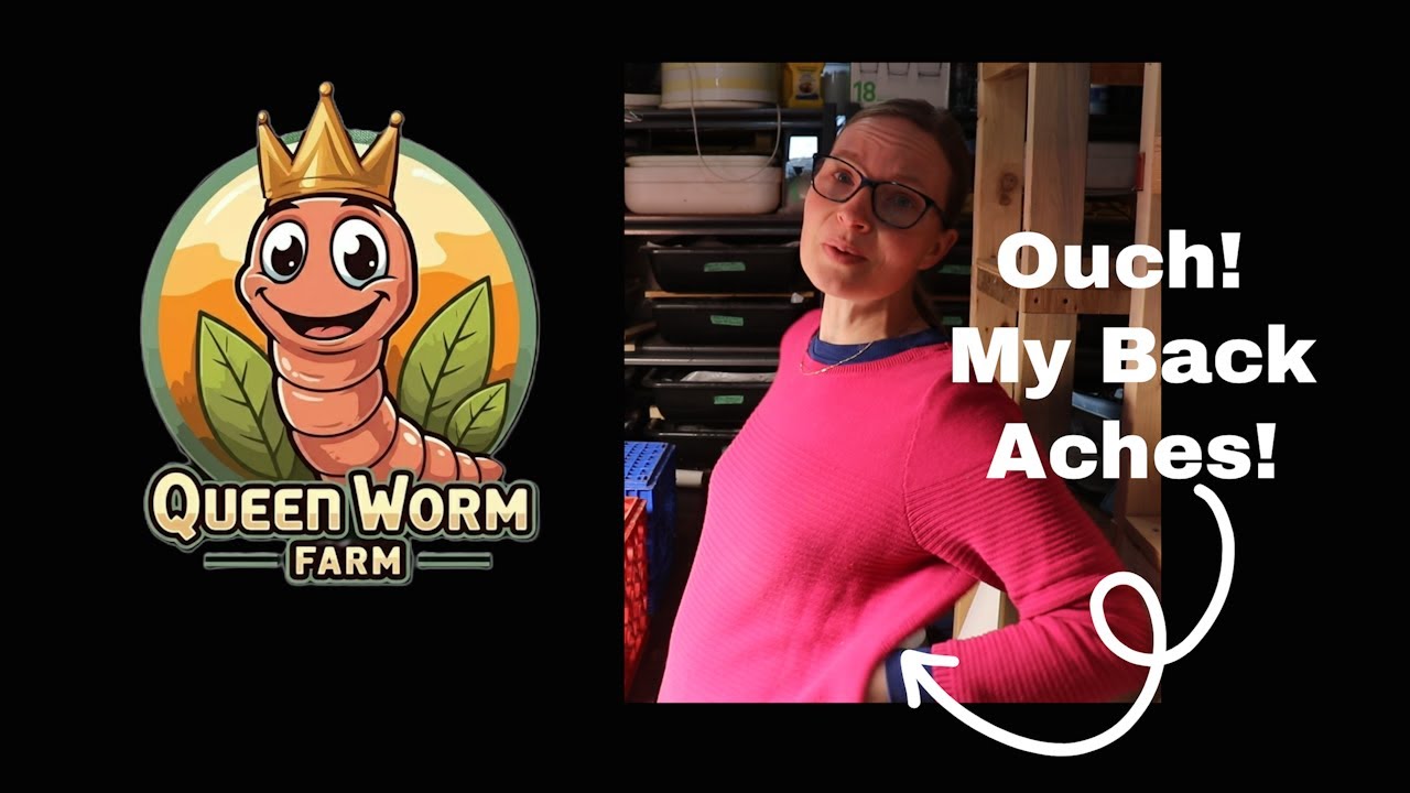 Sore Back While Maintenancing Your Worms...I Do This!