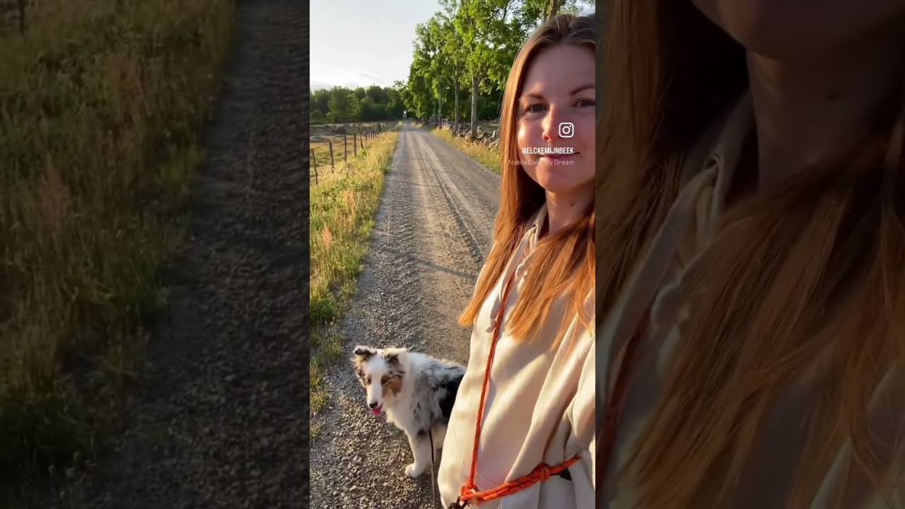 Springtime evening walk on the Swedish countryside. I’m enjoying this new season with more sunlight.