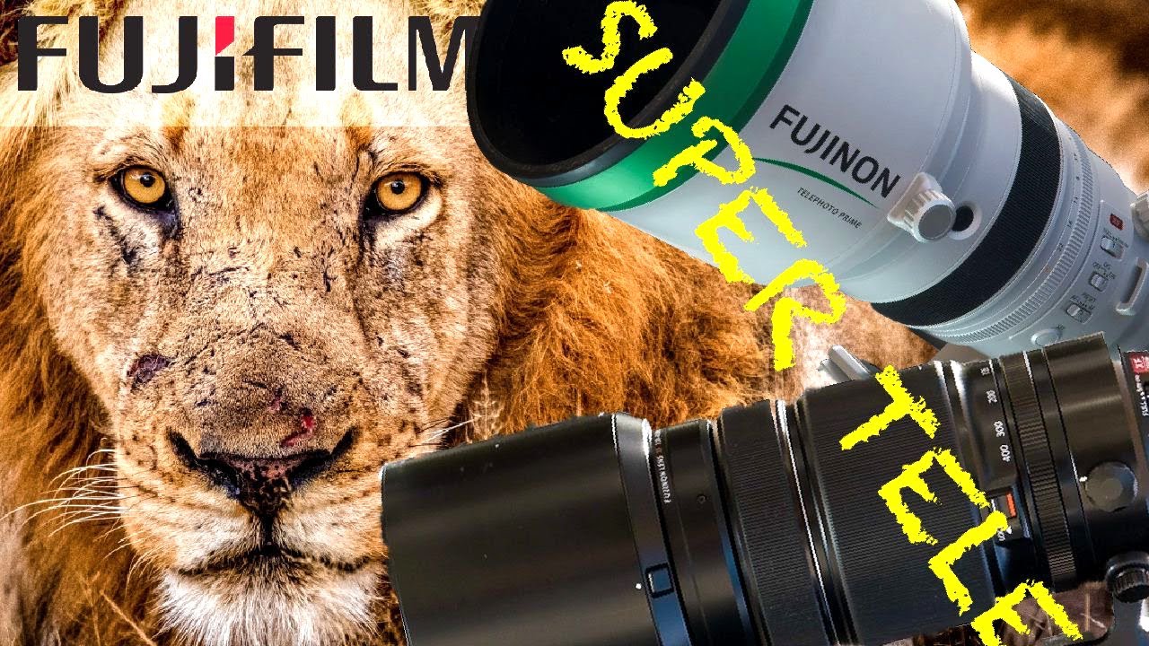 FUJIFILM SUPER TELEPHOTO - Extensive Review - xf 200mm & xf 100-400mm