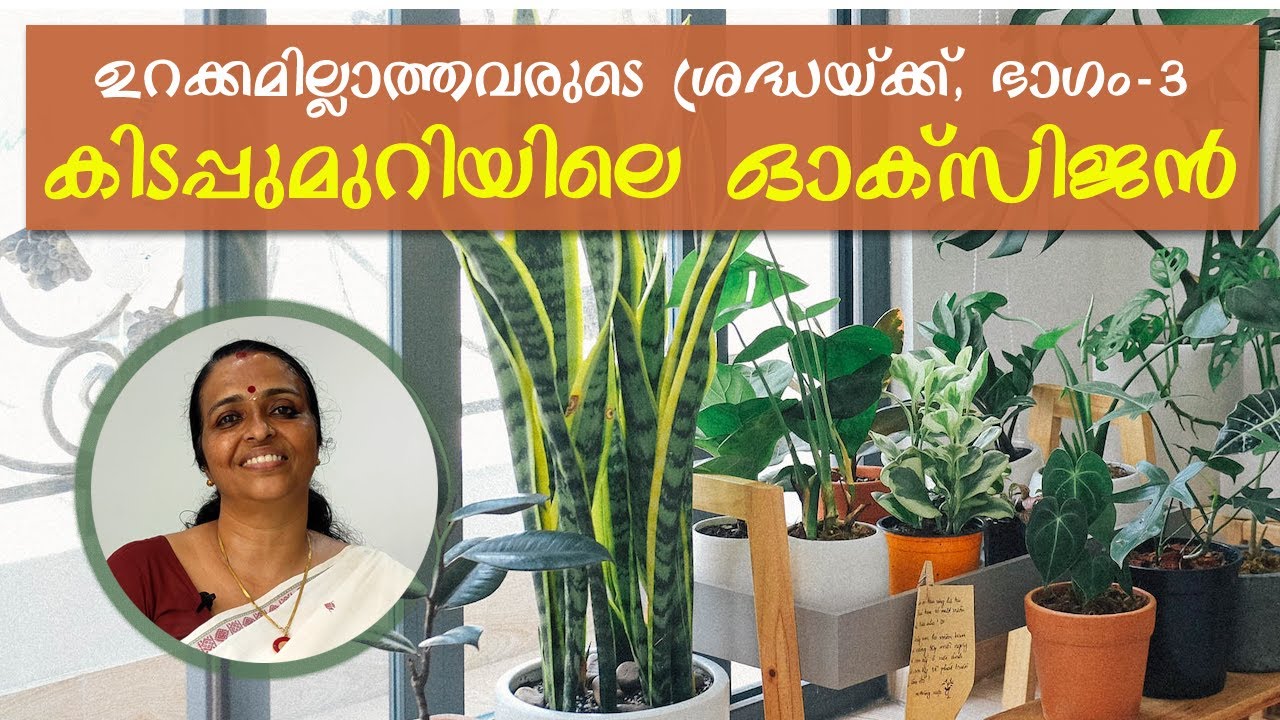 കിടപ്പുമുറിയിലെ ഓക്സിജന്റെ അളവ് എങ്ങിനെ കൂട്ടാം | How to increase the oxygen level in the bedroom