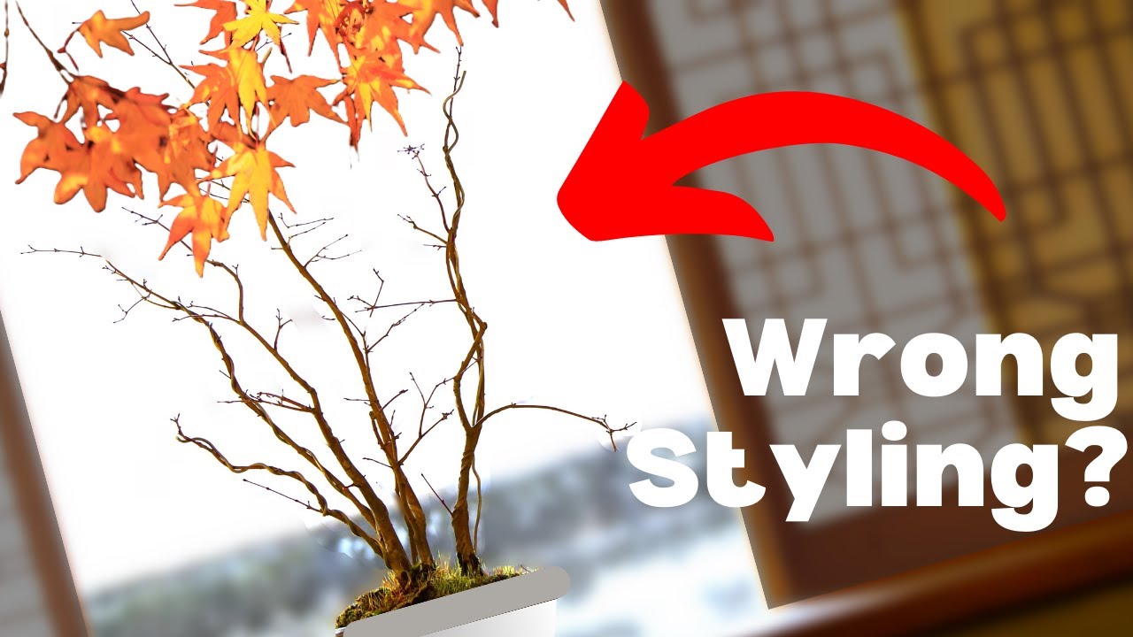 5 Simple Tips for Styling Perfect Forest Bonsai