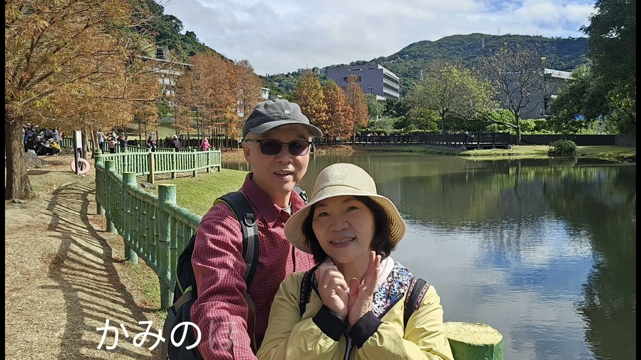 うたかたの恋  阿母的手