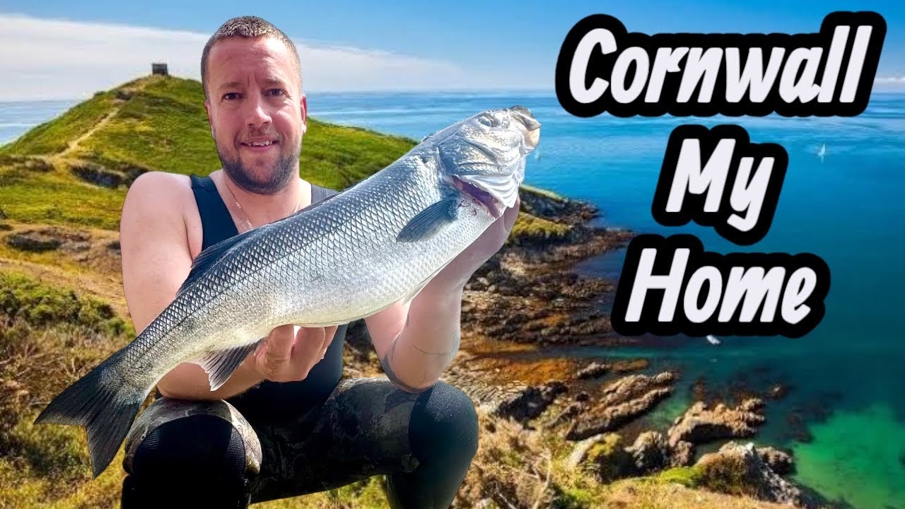 Back in England After 10 YEARS — Spearfishing the Wild Cornish Coast!