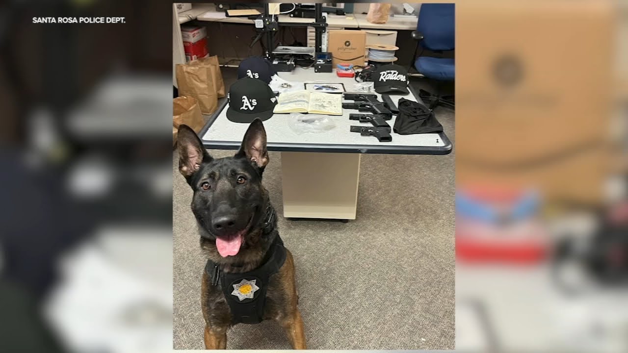 6 Santa Rosa high school students arrested after allegedly stabbing man, police say