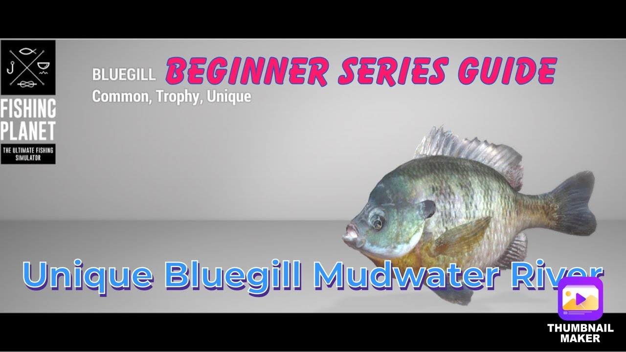 Fishing Planet Beginner Series - Mudwater River Unique Bluegill Guide
