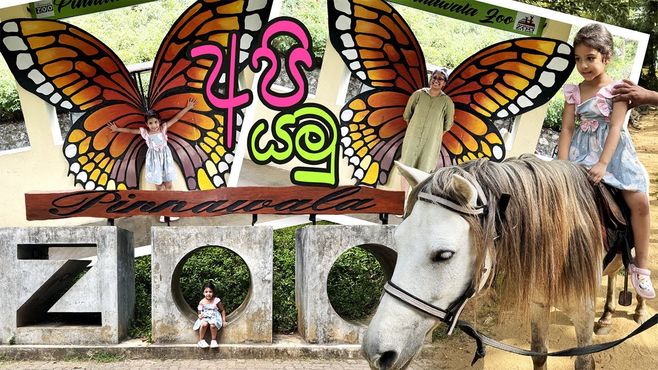 පින්නවල සත්ත්ව උද්‍යානයේ රවුමක්. | Exploring Sri Lanka's Open Zoo Pinnawala