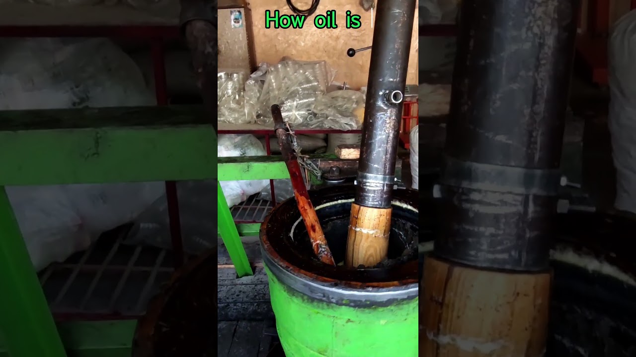 Traditional Organic Cold Pressed Mustard oil |How Mustard Oil is made? Wood Pressed Oil| Kachi Ghani