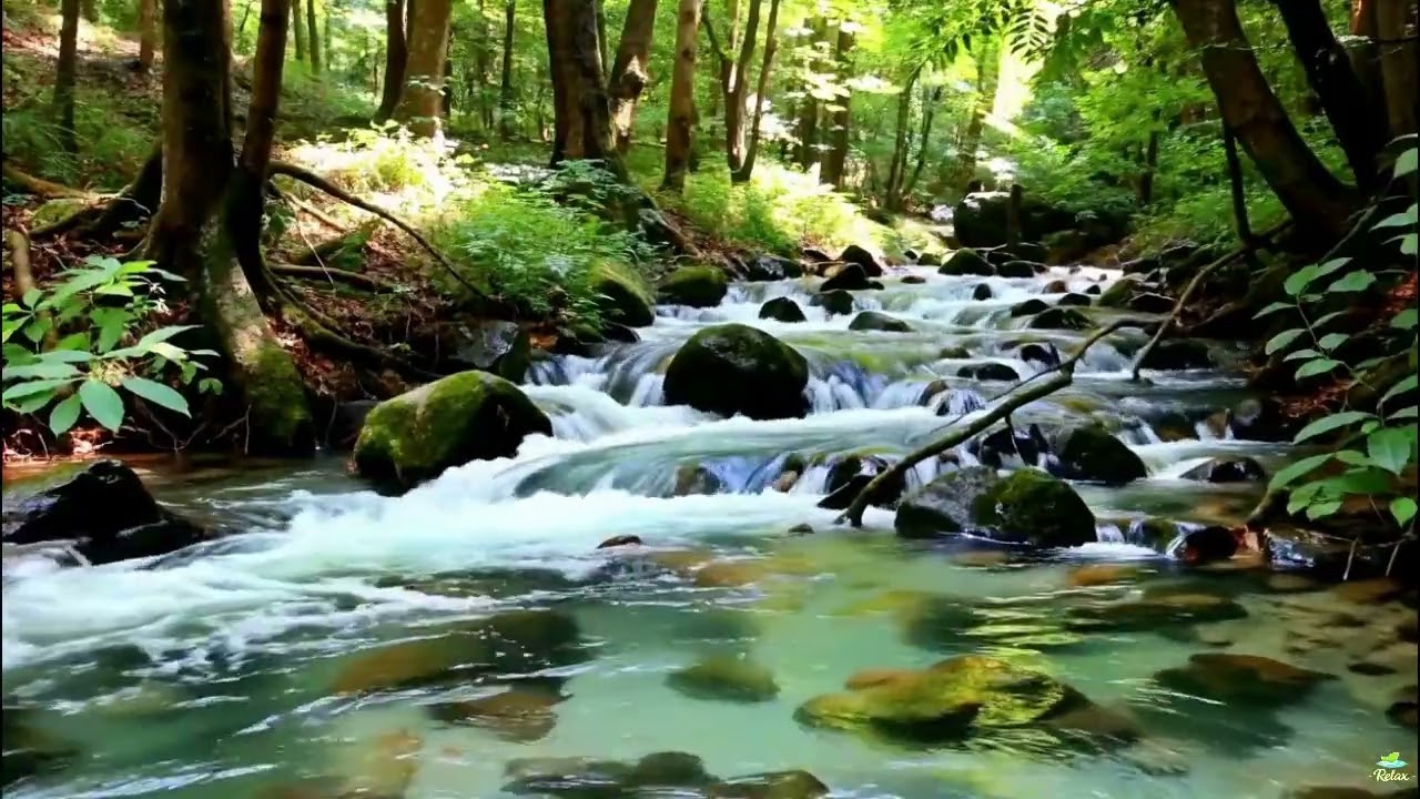 Deep Sleep Therapy with Natural Sounds 🌿 Stress Relief, Insomnia & Focus Healing