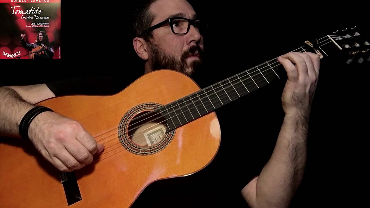 Tomatito (Savarez) normal tension