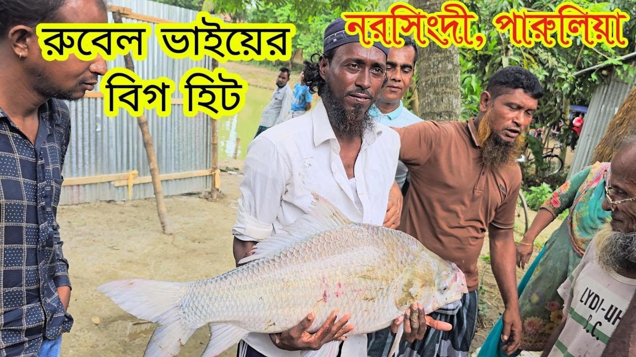 নরসিংদীর পারুলিয়া গ্রামের কিরণ মেম্বারের পুকুর।  রোবেল এর বিশাল কাতল মাছ