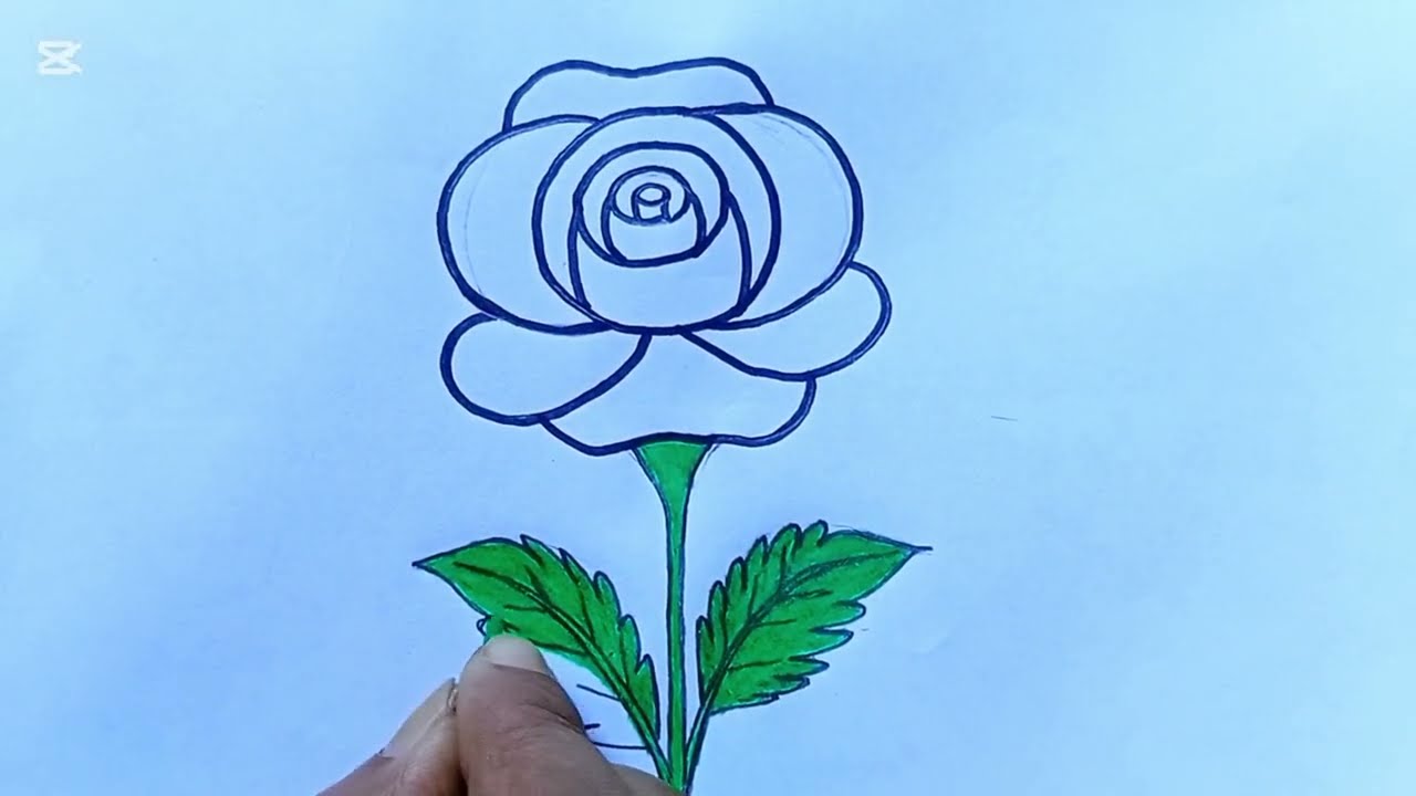 How to Draw a Beautiful Rose 🌹/ Rose Flower Drawing Easy/ Rose Drawing 
