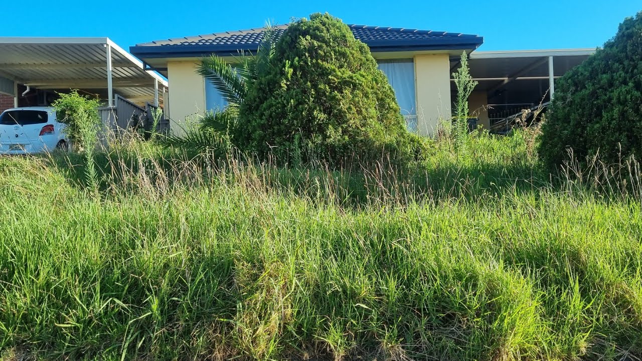 Neighbours ANGRY With 70 Yr Old DISABLED Man's OVERGROWN Lawn & DEMAND It's MOWED