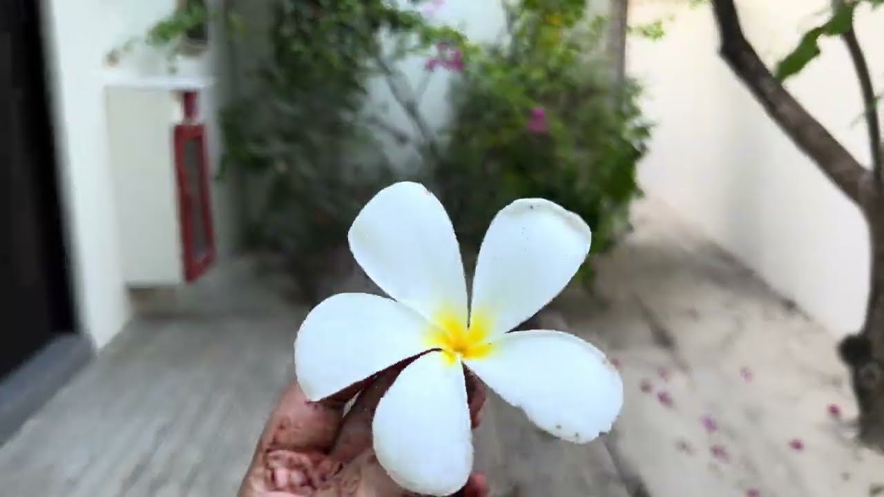 Tour of our beach villa in Atmosphere Kanifushi, Maldives. #maldives #beach #beachresort #beachvibes
