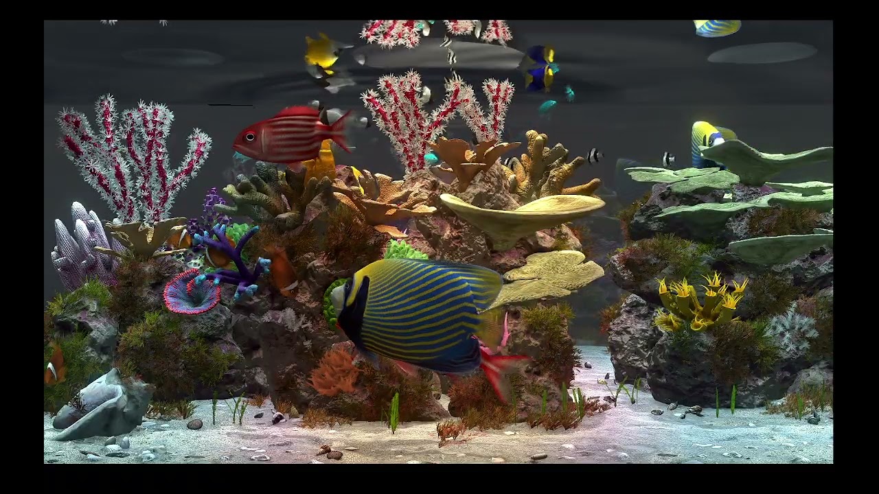 AQUARIUM / FISHTANK IDEAS - ultimate virtual fishtank