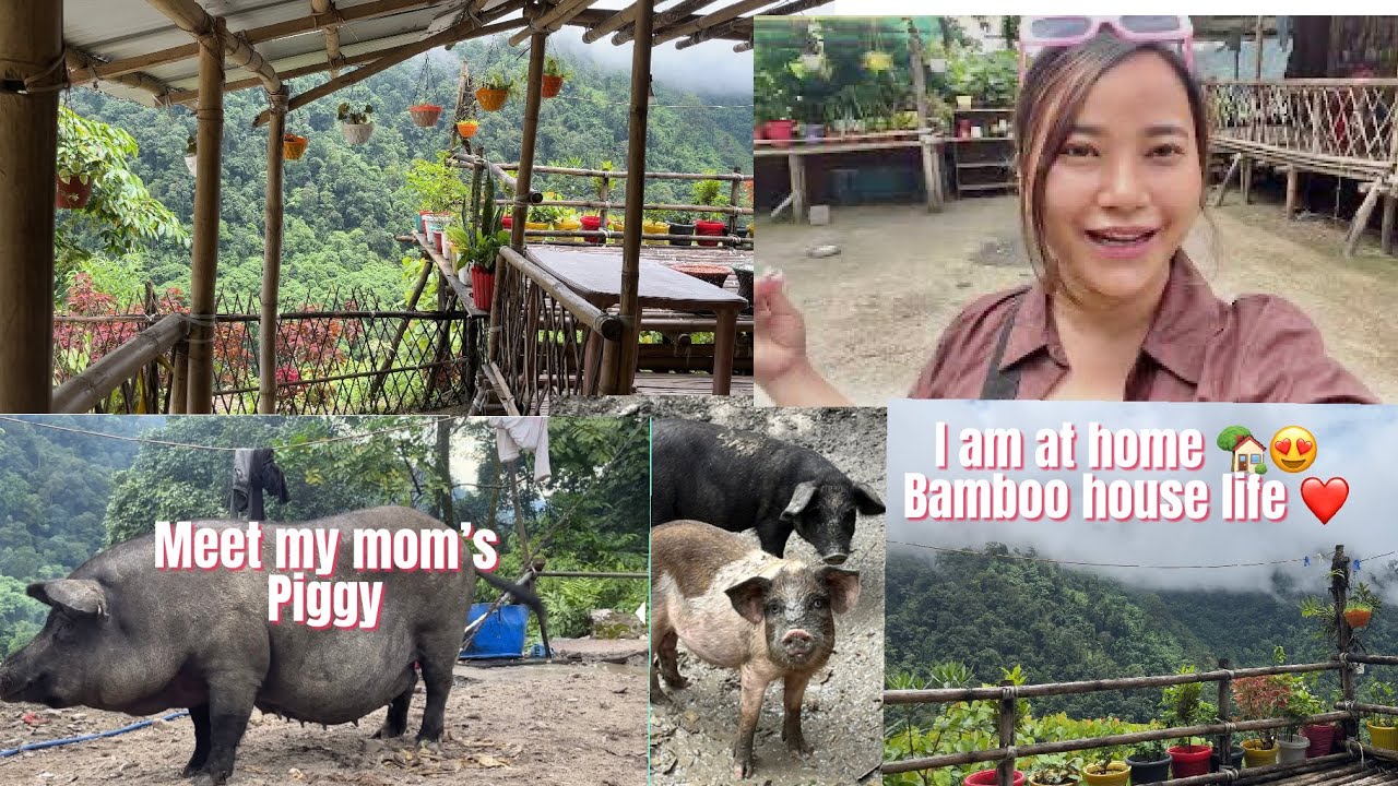 FLYING BACK HOME ARUNACHAL PRADESH MOM’S BAMBOO HOUSE NEW EDITION ❤️ VILLAGE SIMPLE LIFE