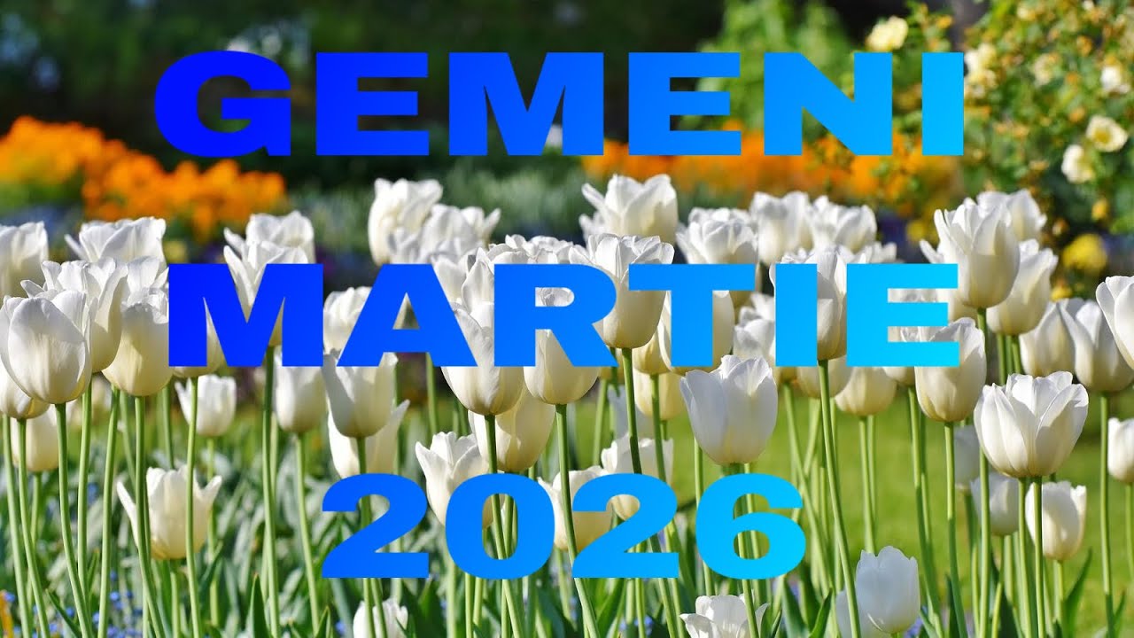 GEMENI♊MARTIE 2026 BANI,JUSTIFICARI,EXPLICATII,TOTUL LA SUPERLATIV💫AU INCEPUT SA SE TREZEASCĂ 💯✨🌠