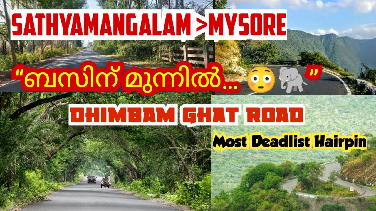 ഈ റൂട്ട് സേഫ് ആണോ 😵... ❓Dhimbam Ghat Road |Most Dangerous Hairpin Bus Journey |Malayalam
