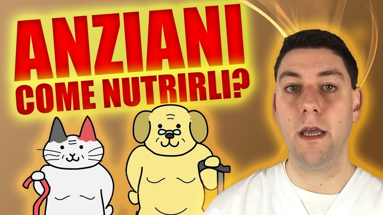 Cani e gatti ANZIANI: come cambia la loro alimentazione?