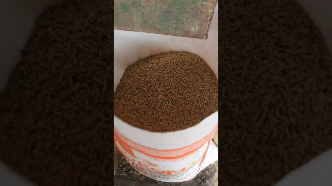 Pig grower feed formula 2022 pig feed making machine