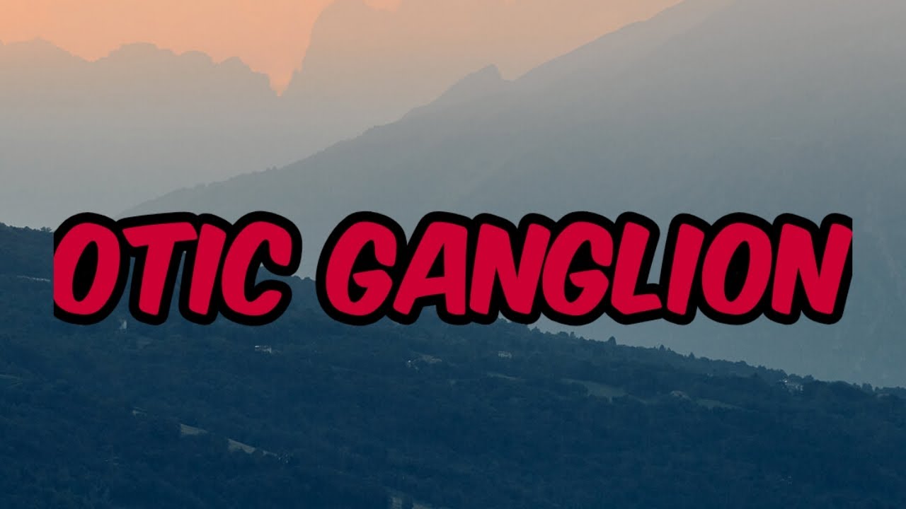 otic ganglion | anatomy