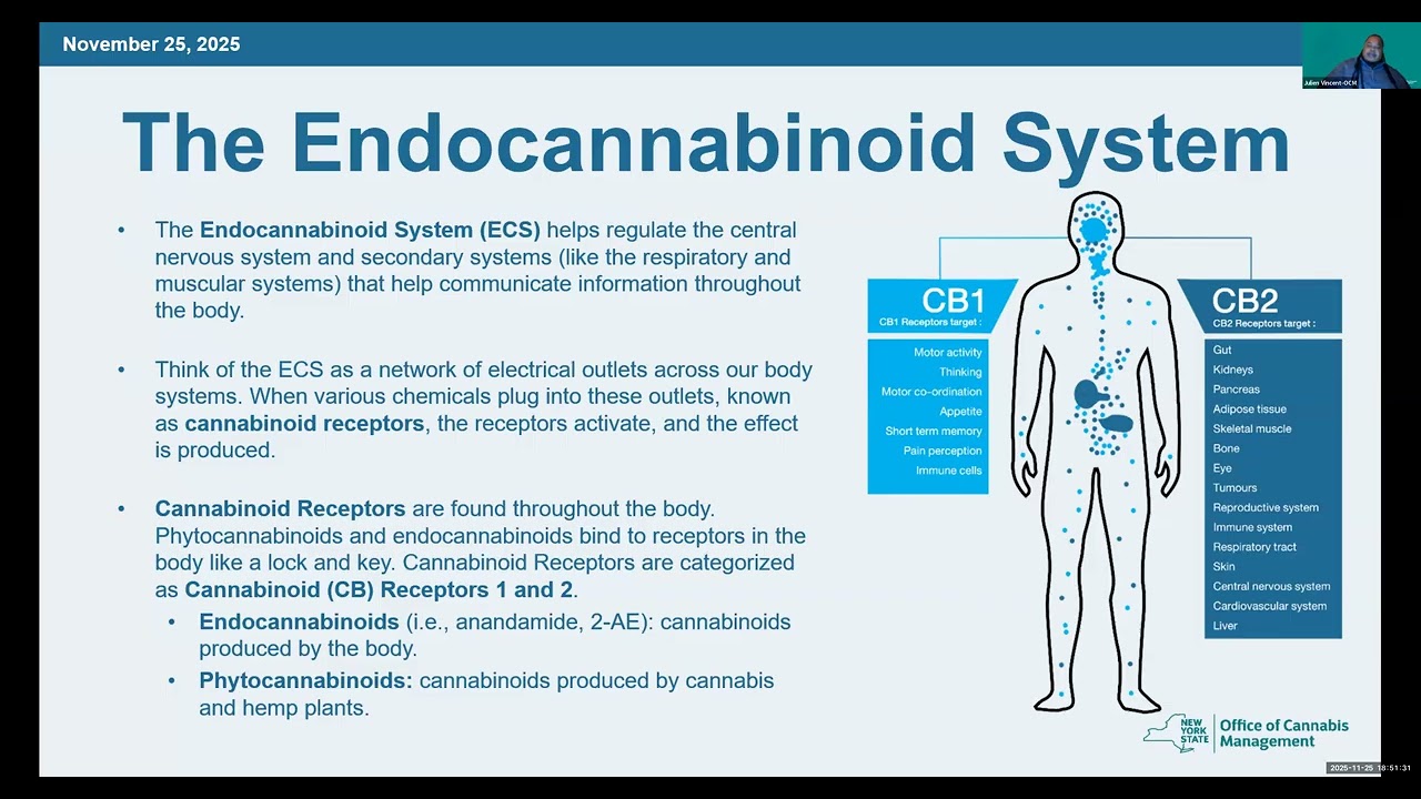 MCB9 - Cannabis Task Force November 2025 Meeting