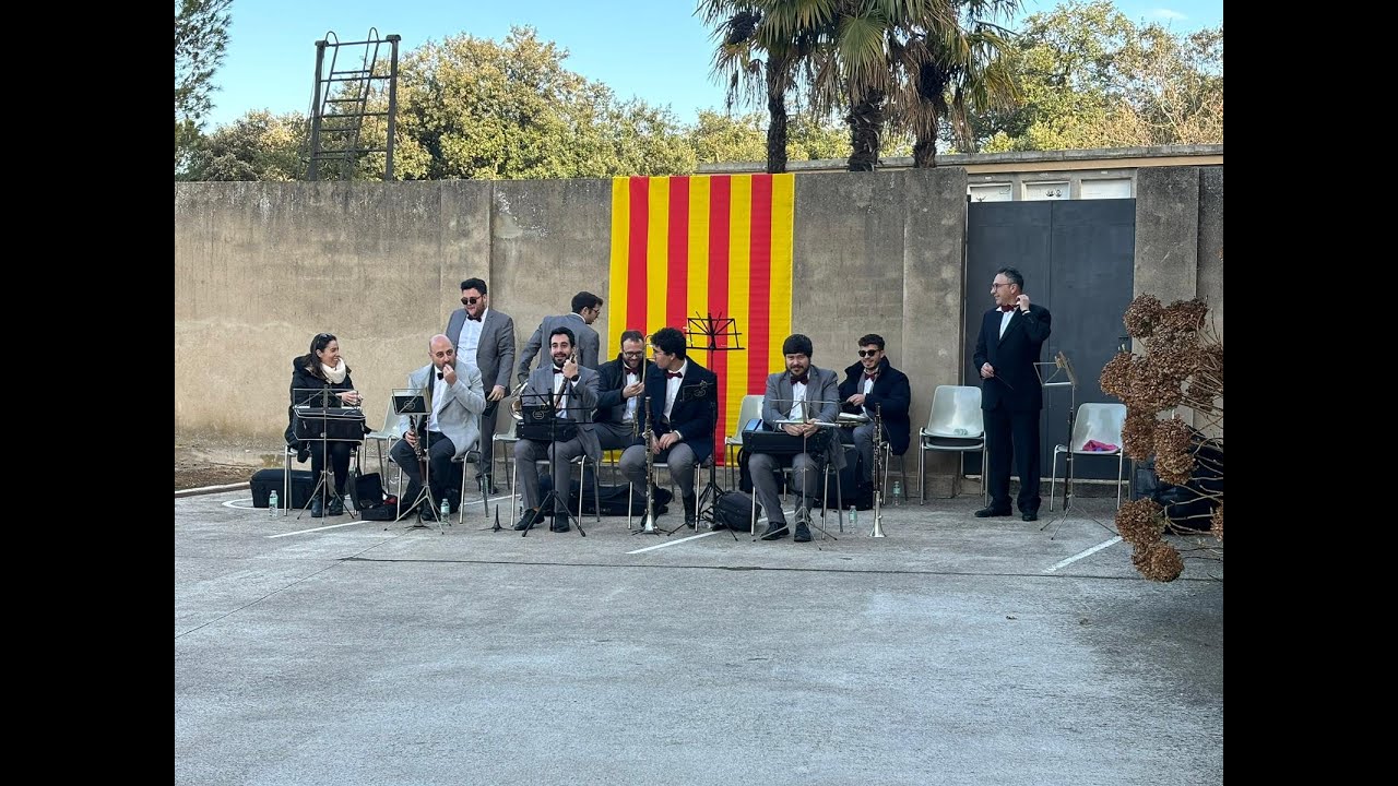 Festa de Sant Antoni 2024