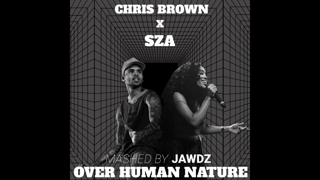 Too Late X She Ain’t You Mashup ( Chris Brown Ft Sza ) Michael Jackson Human Nature Remix (JAWDZ)