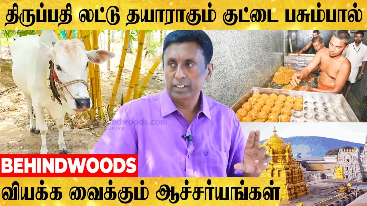 அதிர்ஷ்ட புங்கனூர் குட்டை மாடும்.. மலையளவு குவிந்துள்ள ரகசியங்களும்