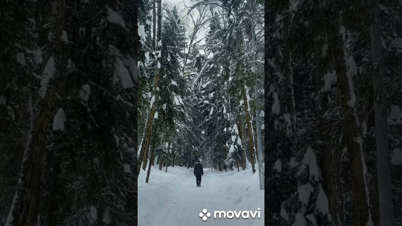 ~1. Дорога в лесу. (Проба пера){Пора Домой}