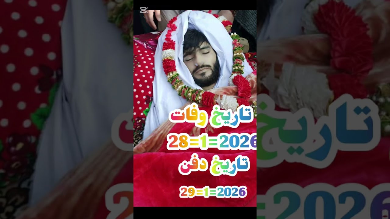February 11, 2026