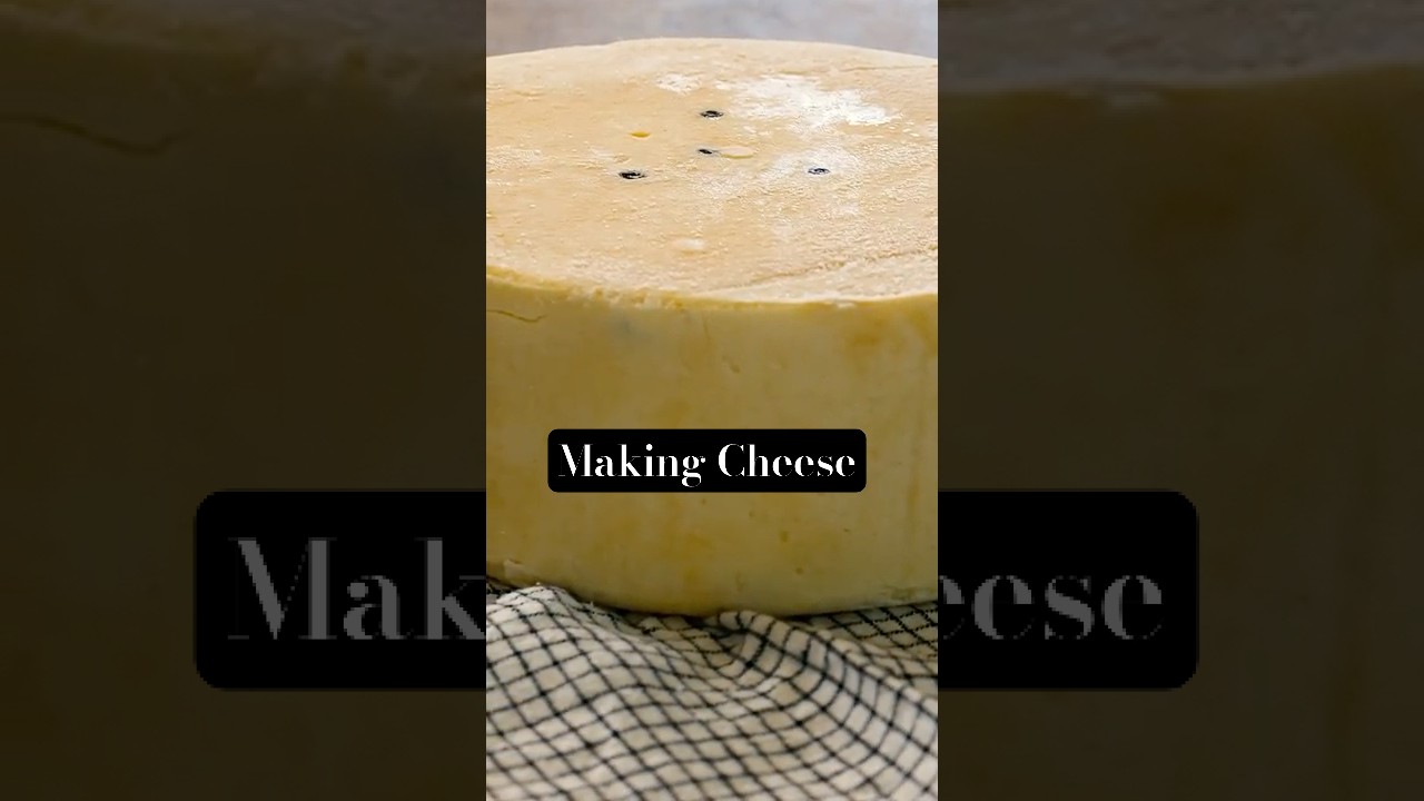 Cheese In Early America  #history #cooking #cheese #dairyfarm