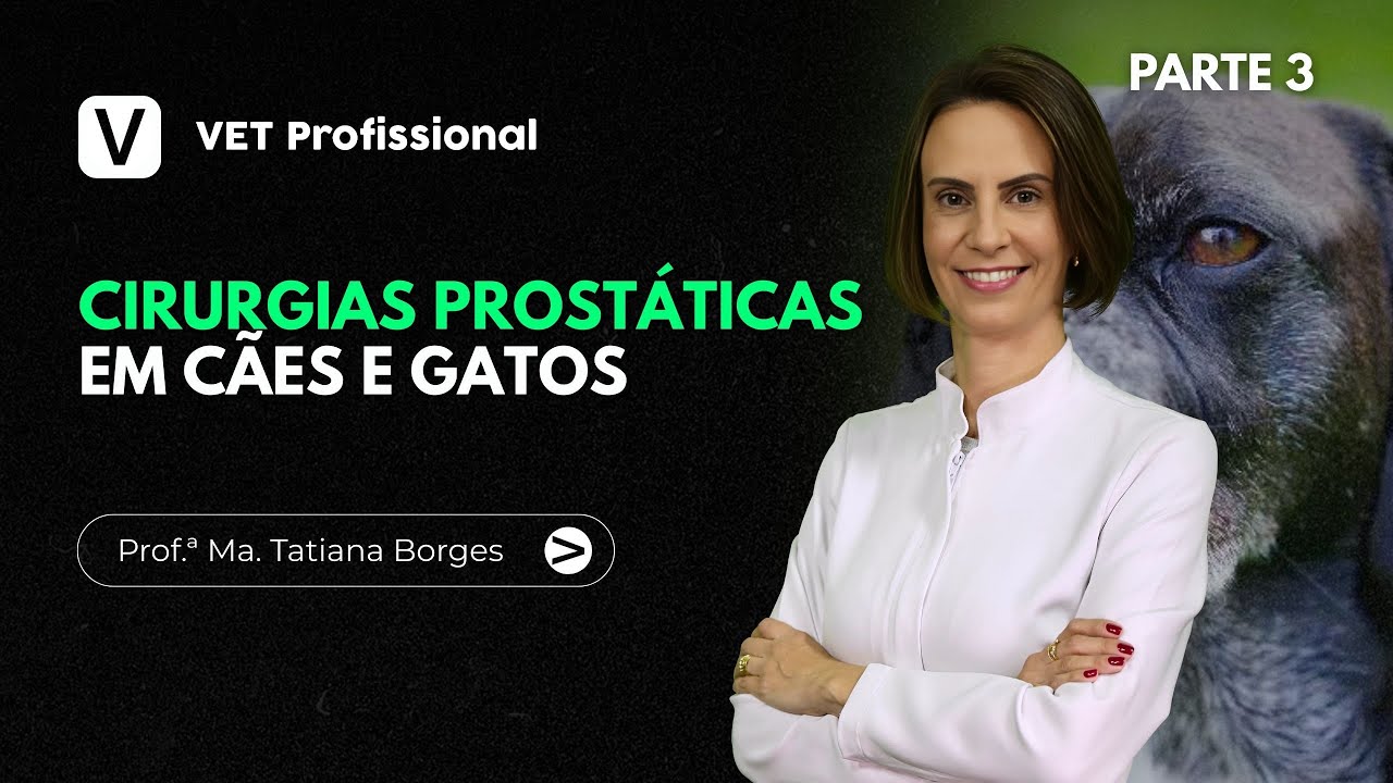 Cirurgias Prostáticas em Cães e Gatos - Parte 3 | VET Profissional