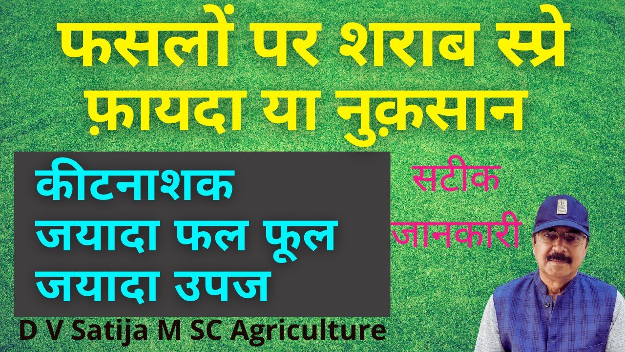 Use of alcohol in farming | Liquor as insecticide and growth promotor | Ethanol,Methanol |