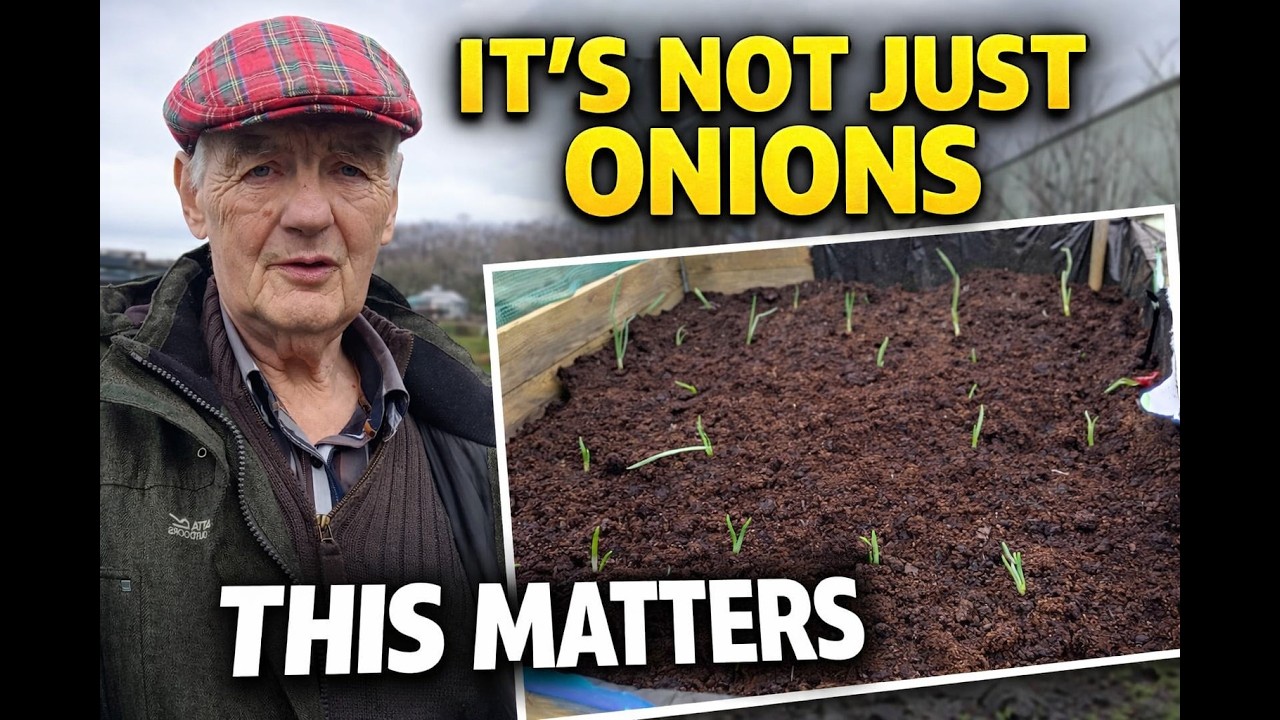 Why I Planted 100 Red Onions — And Why It Actually Matters