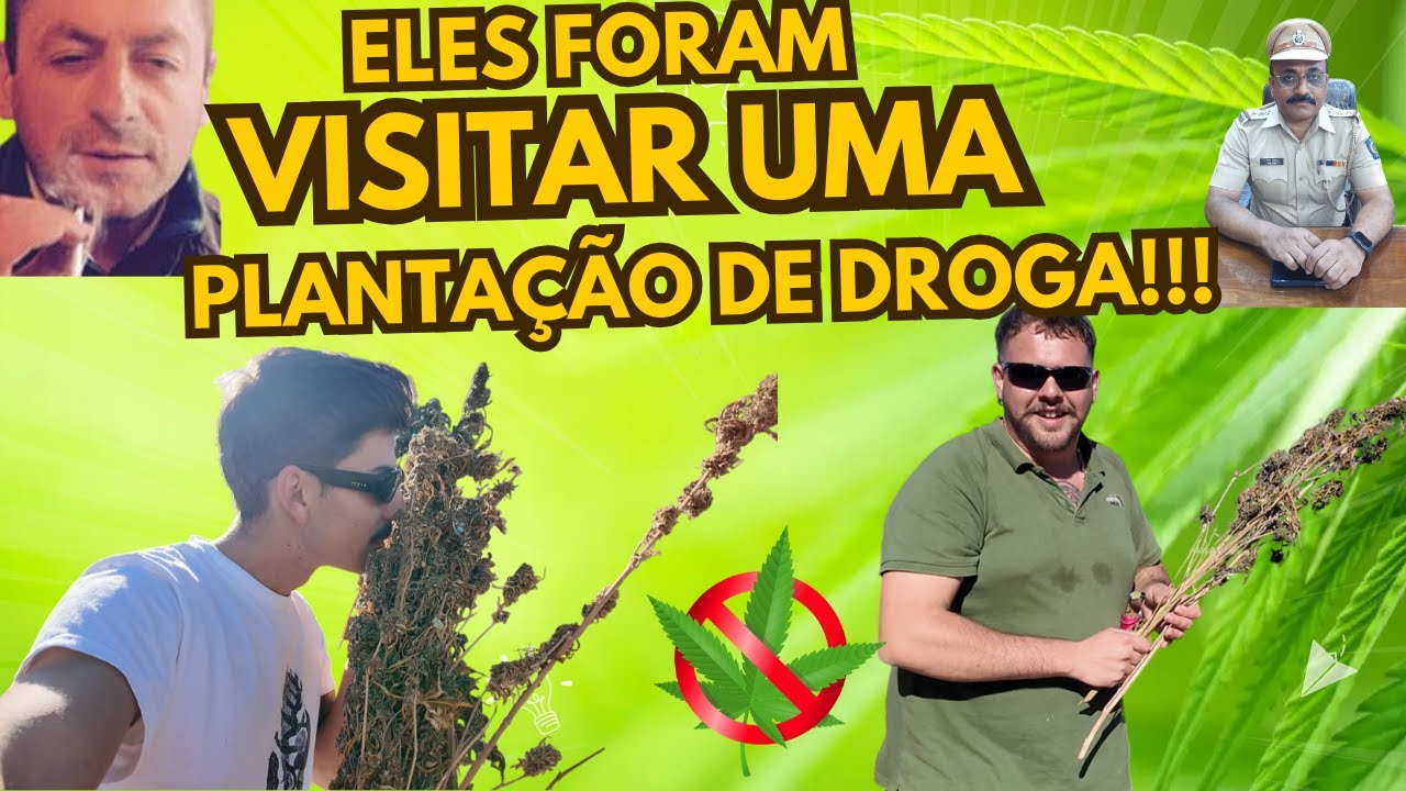 VISITEI UMA PLANTAÇÃO DE HASHISHE EM MARROCOS !!! FOMOS RAPTADOS PELA MAFIA MARROQUINA???