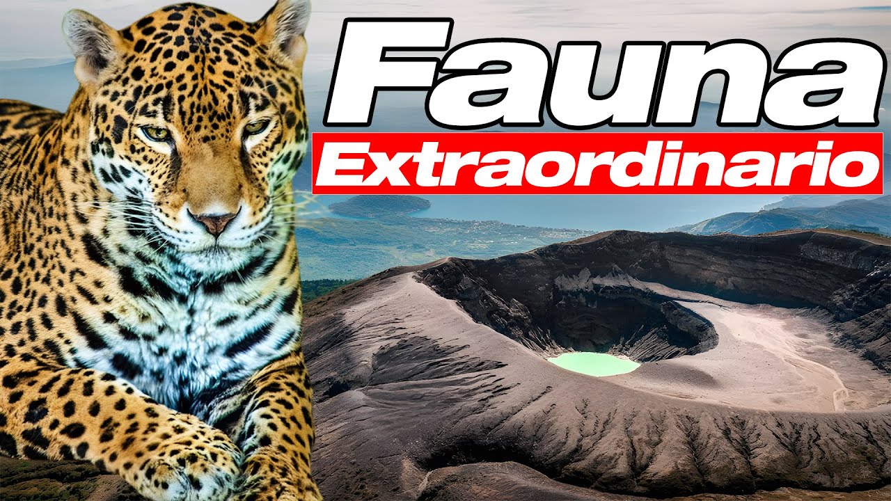 Explorando la Vida Salvaje de Centroam&eacute;rica - DOCUMENTAL