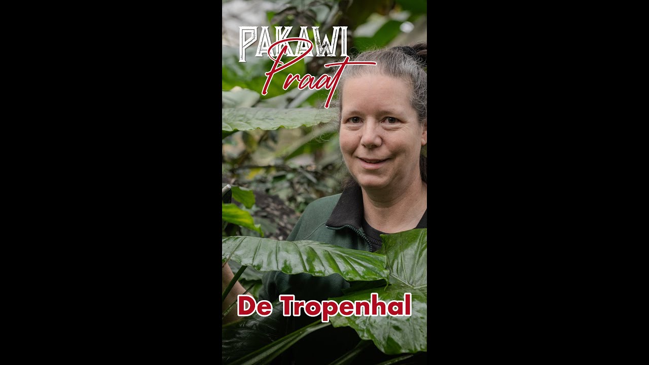Pakawi Praat 10 - De Tropenhal 9-16