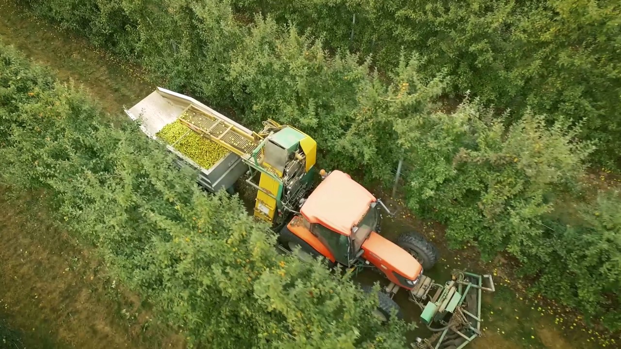 Récolte de Pommes à Jus - Kubota - MvTec - SOMAREF - Bretagne